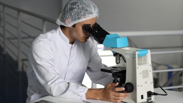 laboratoire