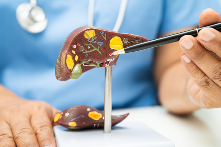 liver
